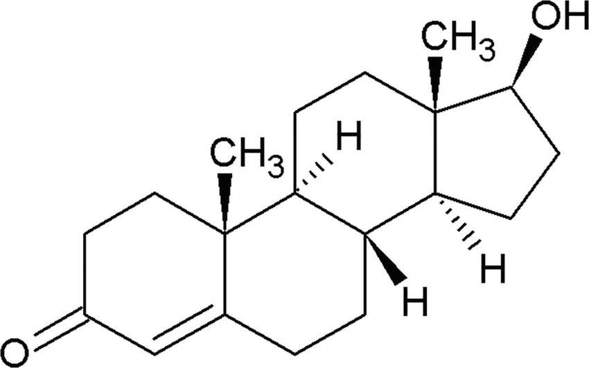 The Truth About Testosterone: What Every Man Should Know