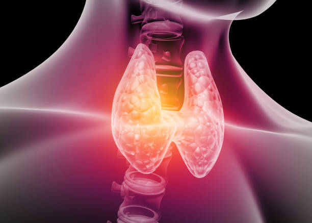 Why “Normal” Isn’t Always Optimal – Especially for Your Thyroid
